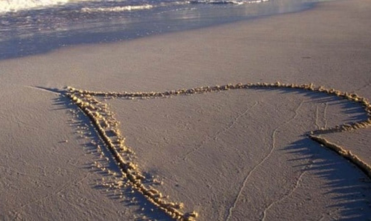 media.san-valentino-cervia